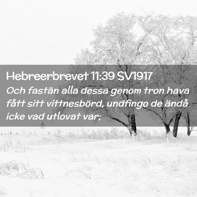 Picture 02 - Hebreerbrevet 11:39 SV1917 - Och fastän alla dessa genom tron hava fått sitt - Bible Verse Picture