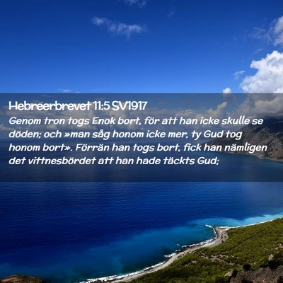Picture 02 - Hebreerbrevet 11:5 SV1917 - Genom tron togs Enok bort, för att han icke - Bible Verse Picture