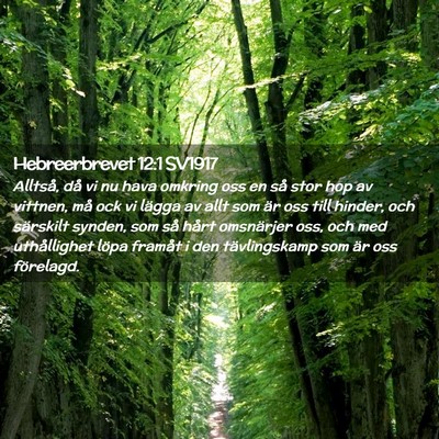 Picture 02 - Hebreerbrevet 12:1 SV1917 - Alltså, då vi nu hava omkring oss en så stor - Bible Verse Picture