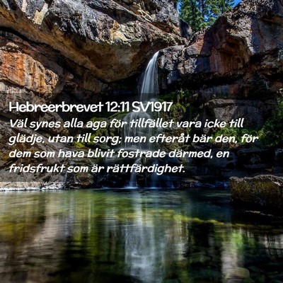 Picture 02 - Hebreerbrevet 12:11 SV1917 - Väl synes alla aga för tillfället vara icke - Bible Verse Picture