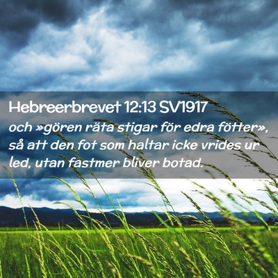 Picture 02 - Hebreerbrevet 12:13 SV1917 - och »gören räta stigar för edra fötter», - Bible Verse Picture