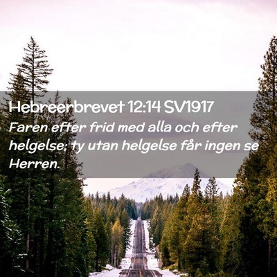 Picture 02 - Hebreerbrevet 12:14 SV1917 - Faren efter frid med alla och efter helgelse; ty - Bible Verse Picture