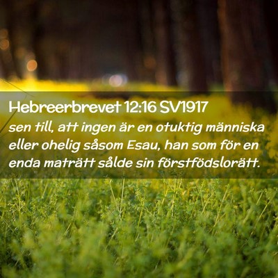 Picture 02 - Hebreerbrevet 12:16 SV1917 - sen till, att ingen är en otuktig människa - Bible Verse Picture