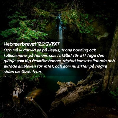 Picture 02 - Hebreerbrevet 12:2 SV1917 - Och må vi därvid se på Jesus, trons hövding - Bible Verse Picture