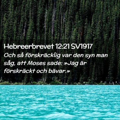 Picture 02 - Hebreerbrevet 12:21 SV1917 - Och så förskräcklig var den syn man såg, att - Bible Verse Picture