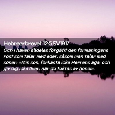 Picture 02 - Hebreerbrevet 12:5 SV1917 - Och I haven alldeles förgätit den förmaningens - Bible Verse Picture