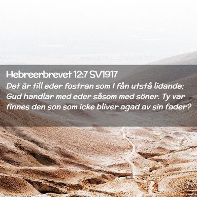 Picture 02 - Hebreerbrevet 12:7 SV1917 - Det är till eder fostran som I fån utstå - Bible Verse Picture