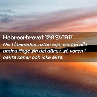 Picture 02 - Hebreerbrevet 12:8 SV1917 - Om I lämnadens utan aga, medan alla andra finge - Bible Verse Picture