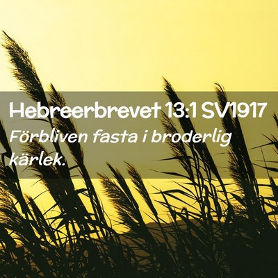 Picture 02 - Hebreerbrevet 13:1 SV1917 - Förbliven fasta i broderlig - Bible Verse Picture