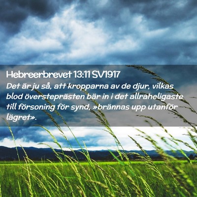 Picture 02 - Hebreerbrevet 13:11 SV1917 - Det är ju så, att kropparna av de djur, vilkas - Bible Verse Picture
