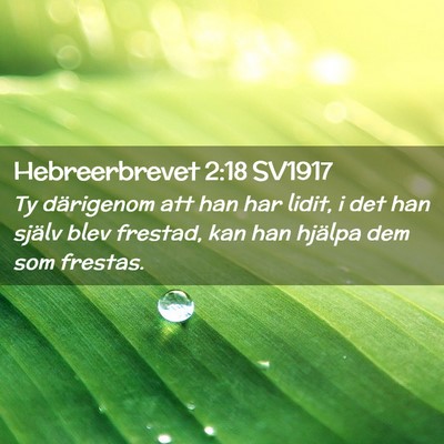 Picture 02 - Hebreerbrevet 2:18 SV1917 - Ty därigenom att han har lidit, i det han själv - Bible Verse Picture