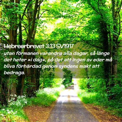 Picture 02 - Hebreerbrevet 3:13 SV1917 - utan förmanen varandra alla dagar, så länge - Bible Verse Picture