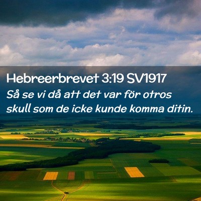 Picture 02 - Hebreerbrevet 3:19 SV1917 - Så se vi då att det var för otros skull som de - Bible Verse Picture