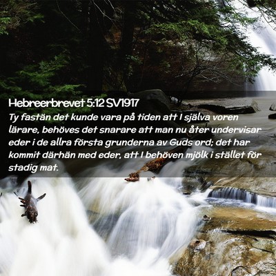 Picture 02 - Hebreerbrevet 5:12 SV1917 - Ty fastän det kunde vara på tiden att I själva - Bible Verse Picture