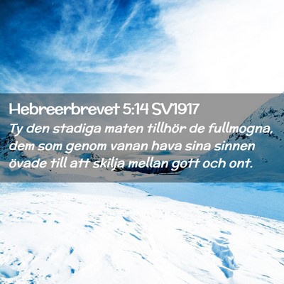 Picture 02 - Hebreerbrevet 5:14 SV1917 - Ty den stadiga maten tillhör de fullmogna, dem - Bible Verse Picture