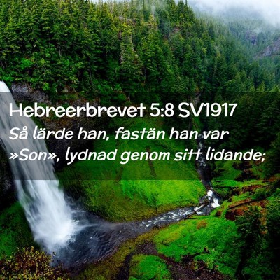 Picture 02 - Hebreerbrevet 5:8 SV1917 - Så lärde han, fastän han var »Son», lydnad - Bible Verse Picture