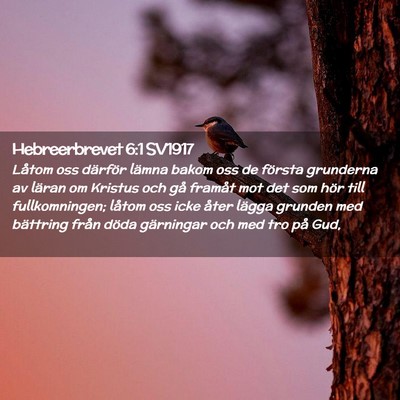 Picture 02 - Hebreerbrevet 6:1 SV1917 - Låtom oss därför lämna bakom oss de första - Bible Verse Picture