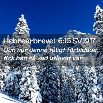 Picture 02 - Hebreerbrevet 6:15 SV1917 - Och när denne tåligt förbidade, fick han så - Bible Verse Picture