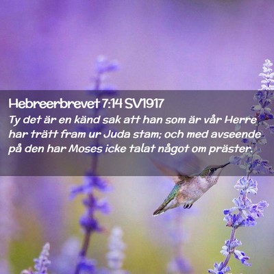 Picture 02 - Hebreerbrevet 7:14 SV1917 - Ty det är en känd sak att han som är vår - Bible Verse Picture