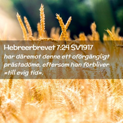 Picture 02 - Hebreerbrevet 7:24 SV1917 - har däremot denne ett oförgängligt - Bible Verse Picture