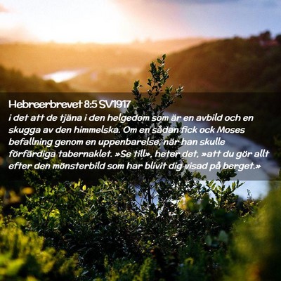 Picture 02 - Hebreerbrevet 8:5 SV1917 - i det att de tjäna i den helgedom som är en - Bible Verse Picture