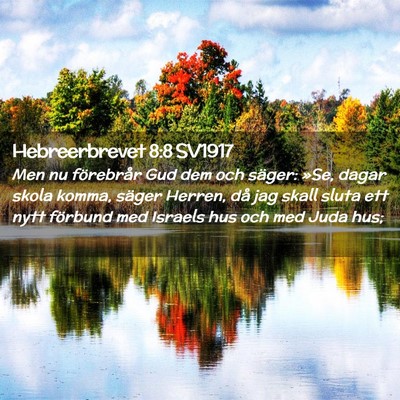 Picture 02 - Hebreerbrevet 8:8 SV1917 - Men nu förebrår Gud dem och säger: »Se, dagar - Bible Verse Picture