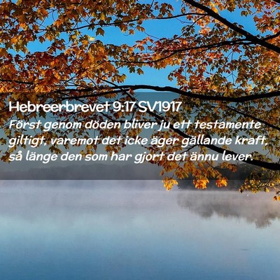 Picture 02 - Hebreerbrevet 9:17 SV1917 - Först genom döden bliver ju ett testamente - Bible Verse Picture