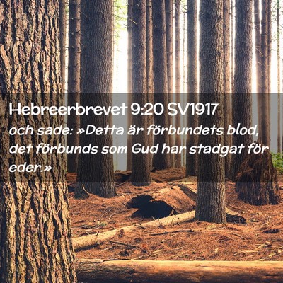 Picture 02 - Hebreerbrevet 9:20 SV1917 - och sade: »Detta är förbundets blod, det - Bible Verse Picture