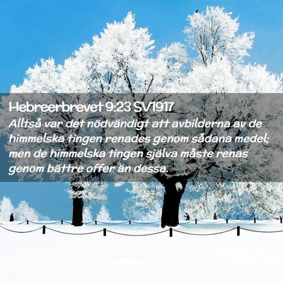Picture 02 - Hebreerbrevet 9:23 SV1917 - Alltså var det nödvändigt att avbilderna av de - Bible Verse Picture