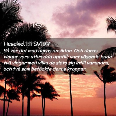 Picture 02 - Hesekiel 1:11 SV1917 - Så var det med deras ansikten. Och deras vingar - Bible Verse Picture