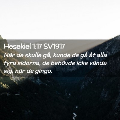Picture 02 - Hesekiel 1:17 SV1917 - När de skulle gå, kunde de gå åt alla fyra - Bible Verse Picture