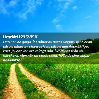 Picture 02 - Hesekiel 1:24 SV1917 - Och när de gingo, lät dånet av deras vingar i - Bible Verse Picture