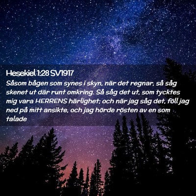 Picture 02 - Hesekiel 1:28 SV1917 - Såsom bågen som synes i skyn, när det regnar, - Bible Verse Picture