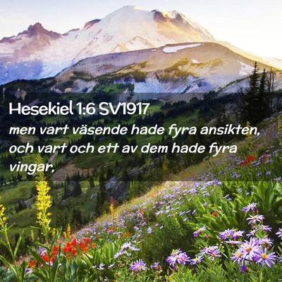 Picture 02 - Hesekiel 1:6 SV1917 - men vart väsende hade fyra ansikten, och vart - Bible Verse Picture