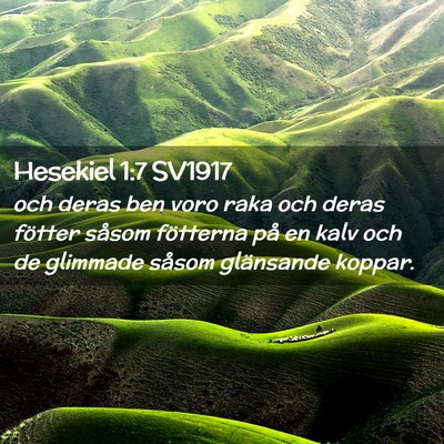 Picture 02 - Hesekiel 1:7 SV1917 - och deras ben voro raka och deras fötter såsom - Bible Verse Picture