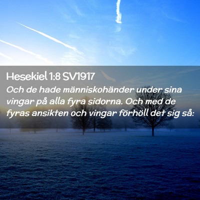 Picture 02 - Hesekiel 1:8 SV1917 - Och de hade människohänder under sina vingar - Bible Verse Picture