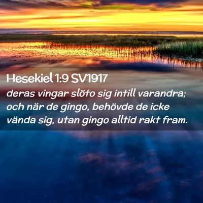 Picture 02 - Hesekiel 1:9 SV1917 - deras vingar slöto sig intill varandra; och när - Bible Verse Picture