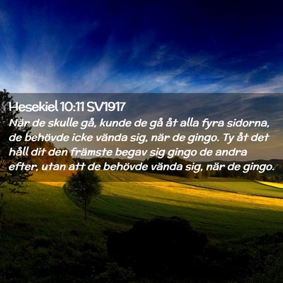 Picture 02 - Hesekiel 10:11 SV1917 - När de skulle gå, kunde de gå åt alla fyra - Bible Verse Picture