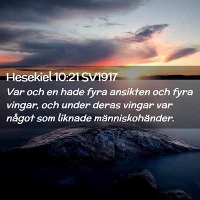 Picture 02 - Hesekiel 10:21 SV1917 - Var och en hade fyra ansikten och fyra vingar, - Bible Verse Picture