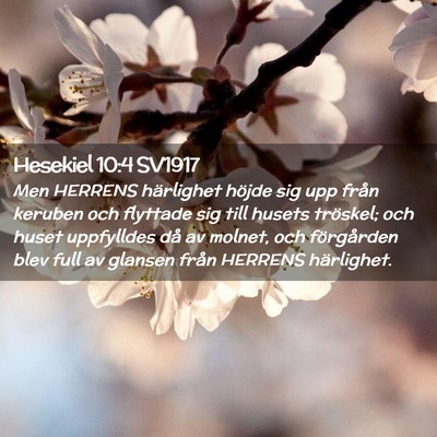 Picture 02 - Hesekiel 10:4 SV1917 - Men HERRENS härlighet höjde sig upp från - Bible Verse Picture