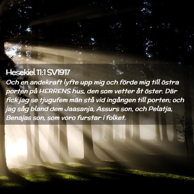 Picture 02 - Hesekiel 11:1 SV1917 - Och en andekraft lyfte upp mig och förde mig - Bible Verse Picture