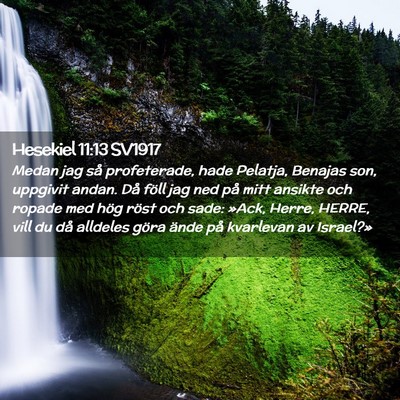 Picture 02 - Hesekiel 11:13 SV1917 - Medan jag så profeterade, hade Pelatja, Benajas - Bible Verse Picture
