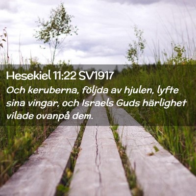 Picture 02 - Hesekiel 11:22 SV1917 - Och keruberna, följda av hjulen, lyfte sina - Bible Verse Picture