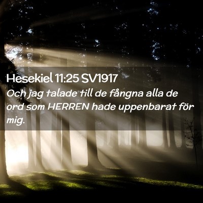 Picture 02 - Hesekiel 11:25 SV1917 - Och jag talade till de fångna alla de ord som - Bible Verse Picture
