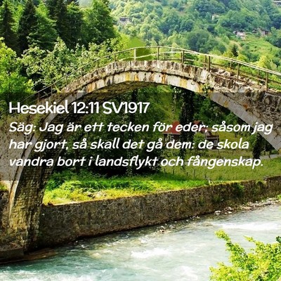 Picture 02 - Hesekiel 12:11 SV1917 - Säg: Jag är ett tecken för eder; såsom jag - Bible Verse Picture