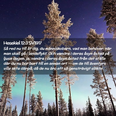 Picture 02 - Hesekiel 12:3 SV1917 - Så red nu till åt dig, du människobarn, vad - Bible Verse Picture