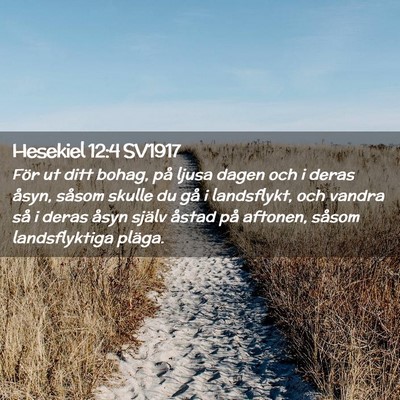 Picture 02 - Hesekiel 12:4 SV1917 - För ut ditt bohag, på ljusa dagen och i deras - Bible Verse Picture