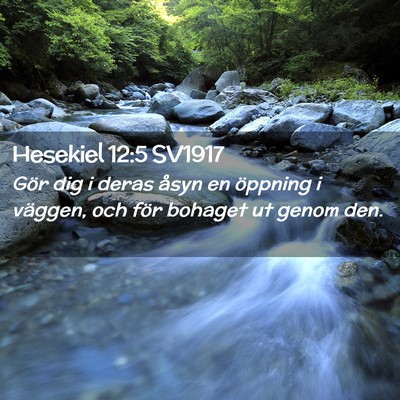 Picture 02 - Hesekiel 12:5 SV1917 - Gör dig i deras åsyn en öppning i väggen, och - Bible Verse Picture