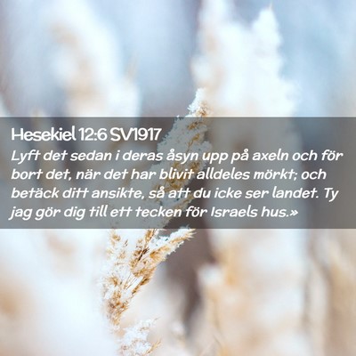 Picture 02 - Hesekiel 12:6 SV1917 - Lyft det sedan i deras åsyn upp på axeln och - Bible Verse Picture