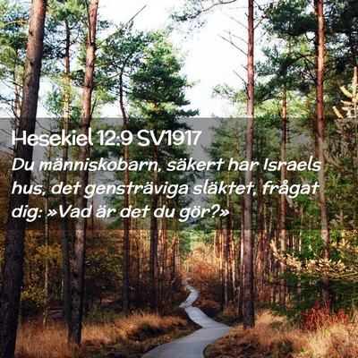 Picture 02 - Hesekiel 12:9 SV1917 - Du människobarn, säkert har Israels hus, det - Bible Verse Picture